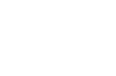 Brave Thinking Institute Logo